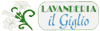 LAVANDERIA IL GIGLIO