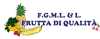 F.G.M.L. e L. - FRUTTA DI QUALITA  sas