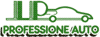 PROFESSIONE AUTO di PALAZZOLI LUCA