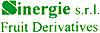 SINERGIE srl