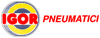 I.G.O.R. PNEUMATICI srl