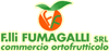F. LLI FUMAGALLI srl