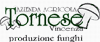 AZIENDA AGRICOLA TORNESE VINCENZA