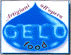 GELO FOOD srl