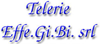 TELERIE EFFE.GI.BI. srl