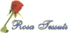 ROSA TESSUTI