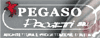PEGASO PROGETTI srl