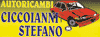 AUTORICAMBI CICCOIANNI FRANCO