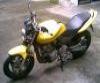 HONDA HORNET 600