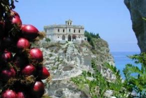 Cipolla fresca di Tropea in treccia.