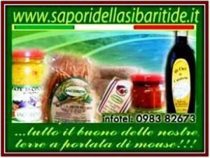 La gastronomia calabrese??...puoi trovarla sul web!! 