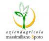 Azienda Agricola Massimiliano Spoto - Produzione olio di oliva biologico extravergine